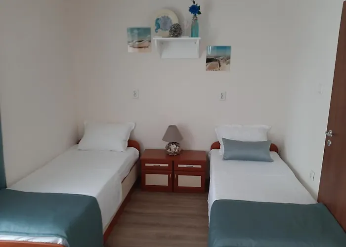 самостоятелни елинор Созопол